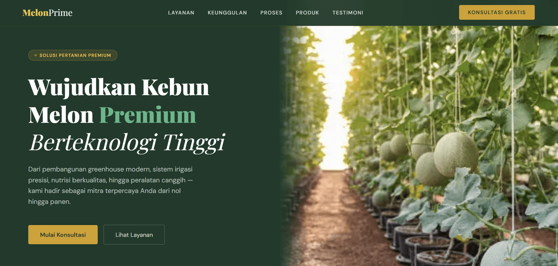 Website Kebun Melon